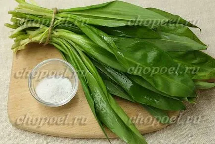 Ca borcane de usturoi marinate sălbatice pentru iarna - reteta cu o fotografie