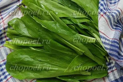 Ca borcane de usturoi marinate sălbatice pentru iarna - reteta cu o fotografie
