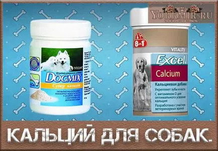 câine de calciu, hrana pentru animale, aditivi, medicamente (câini) Calciu pentru câini, hrană pentru animale de companie, suplimente, medicamente