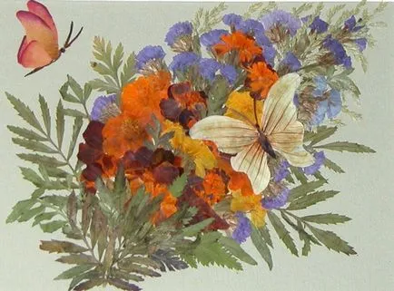 Imagini din petalele de flori și frunze (flori) Imagini din petalele de flori și frunze