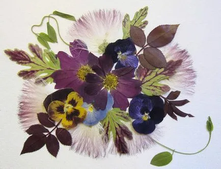Imagini din petalele de flori și frunze (flori) Imagini din petalele de flori și frunze