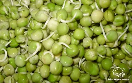 Proteine vegetale în alimente (proteine) Proteine vegetale în produsele alimentare
