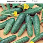 Catalogul de semințe de castravete (vezi toate clasele) magazin online pentru semințe - agrokontinent