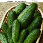 Catalogul de semințe de castravete (vezi toate clasele) magazin online pentru semințe - agrokontinent