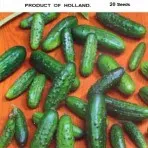 Catalogul de semințe de castravete (vezi toate clasele) magazin online pentru semințe - agrokontinent