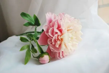 floristica ceramice