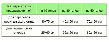 Colivii pentru prepelițe cu mâinile pe desene, instrucțiuni pas cu pas, fotografii, videoclipuri