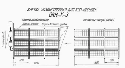 Cuști pentru puii de găină, găini și pui de carne desene cu mâinile lor (continutul) Cuști pentru pui, găini ouătoare și pui de carne de desene cu propriile sale mâini