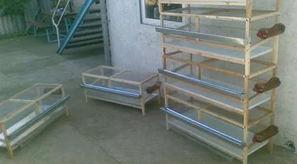 Cuști pentru găinile ouătoare cum să facă propriile mâini, desene, dimensiuni, fotografii și instrucțiuni video, (cu mâinile) celule de pui de găină, cum să facă propriile mâini, desene, dimensiuni, fotografii și instrucțiuni video,