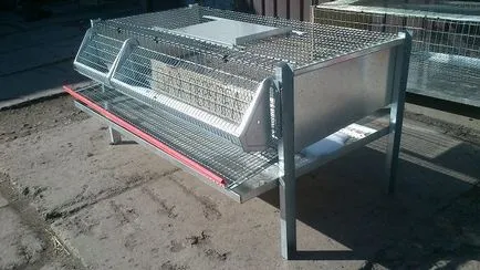 Celulele pentru prepelițe 10, 20 și 50 cap cu mâinile cu desenele (mesh) Colivii pentru prepelițe la 10, 20 și 50 de goluri, cu propriile sale mâini cu desene