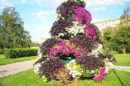 Flowerbeds detalii și detalii