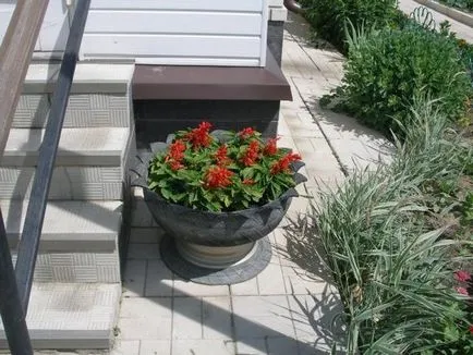Flowerbeds detalii și detalii