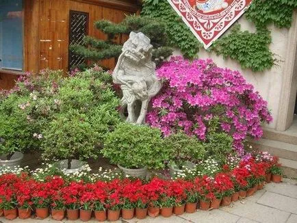 Flowerbeds detalii și detalii