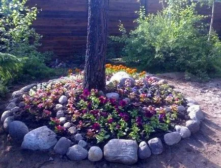Flowerbeds detalii și detalii