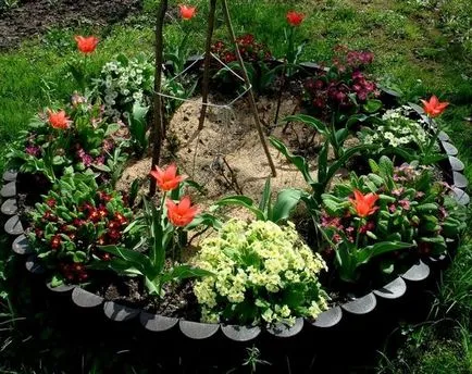 Flowerbeds detalii și detalii