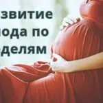 Când copilul începe să zâmbească, primul zâmbet al unui copil nou-născut ca răspuns la părinți