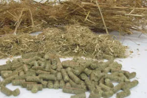 Hrană pentru găini ouătoare prețul de produs gata și autodidact (hrana pentru animale) Hrană pentru găinile ouătoare costul produsului finit și de casă