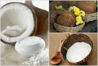 Nucă de cocos proprietăți ale corpului de ulei, utilizare, rețete, ceea ce face