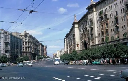 Când copacii erau mari, mai proaspăt - cel mai bun din ziua în care ați avea nevoie vreodată! (Copaci) Când copacii erau mari, mai proaspăt - cel mai bun din ziua în care ați avea nevoie vreodată!