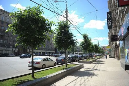 Când copacii erau mari, mai proaspăt - cel mai bun din ziua în care ați avea nevoie vreodată! (Copaci) Când copacii erau mari, mai proaspăt - cel mai bun din ziua în care ați avea nevoie vreodată!