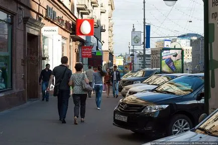 Când copacii erau mari, mai proaspăt - cel mai bun din ziua în care ați avea nevoie vreodată! (Copaci) Când copacii erau mari, mai proaspăt - cel mai bun din ziua în care ați avea nevoie vreodată!