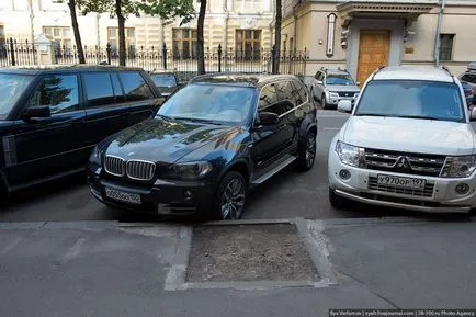 Când copacii erau mari, mai proaspăt - cel mai bun din ziua în care ați avea nevoie vreodată! (Fresher) Când copacii erau mari, mai proaspăt - cel mai bun din ziua în care ați avea nevoie vreodată!