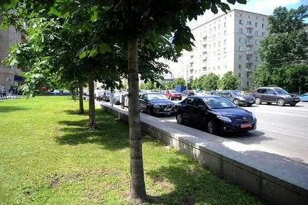 Când copacii erau mari, mai proaspăt - cel mai bun din ziua în care ați avea nevoie vreodată! (Au) Când copacii erau mari, mai proaspăt - cel mai bun din ziua în care ați avea nevoie vreodată!