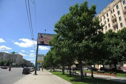 Când copacii erau mari, mai proaspăt - cel mai bun din ziua în care ați avea nevoie vreodată! (Au) Când copacii erau mari, mai proaspăt - cel mai bun din ziua în care ați avea nevoie vreodată!
