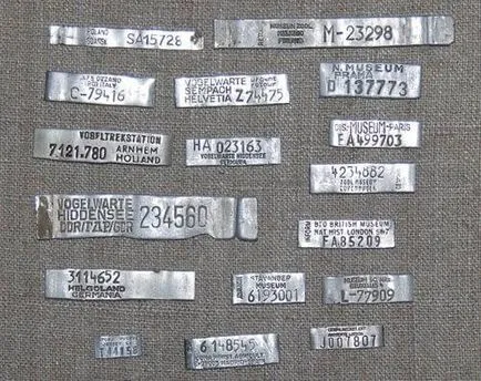 păsări banding - vânătoare și pescuit în România și în străinătate (păsări) păsări banding - vânătoare și pescuit în România și în străinătate