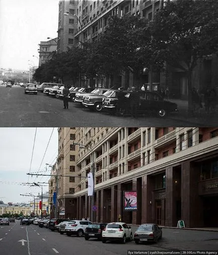 Când copacii erau mari, mai proaspăt - cel mai bun din ziua în care ați avea nevoie vreodată! (Copaci) Când copacii erau mari, mai proaspăt - cel mai bun din ziua în care ați avea nevoie vreodată!
