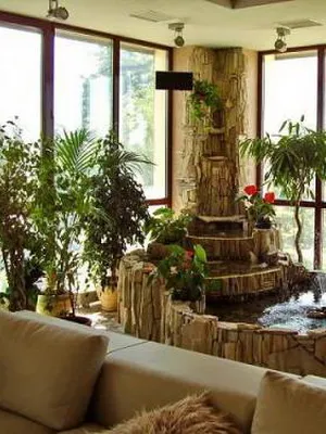 Compozițiile de plante în ghivece în creștere în apă în iaz grădină interioară și apă pe fotografie (culori) Compoziții din plante ghiveci de apă în cultivarea de interior, iar iazul de grădină apos înfățișată