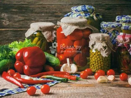 Canning legume pentru rețete de iarnă cu sfaturi foto și trucuri