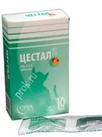 Cat pisica vrea - ce să facă (pisica) Cat pisica vrea - ce să facă