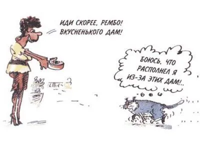 toarce pisică și mușcături atunci când stroking lui - mușcături - ceea ce înseamnă