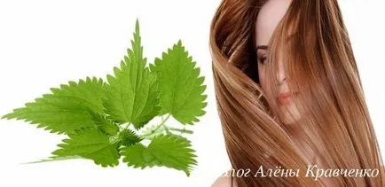păr Urzica - cele mai bune rețete, blog Alena Kravchenko