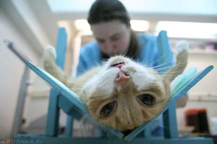 Cat țipi fără nici un motiv pe timp de noapte, care nu dau somn