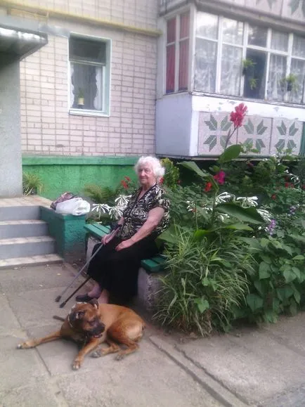 Pisică sau de câine este cel mai bun prieten al omului