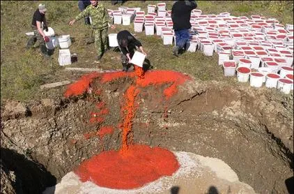 Red caviar - proprietăți utile și rău