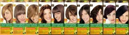 Dye par Garnier