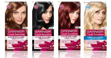 Dye par Garnier