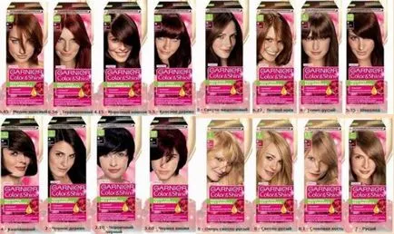 Dye par Garnier