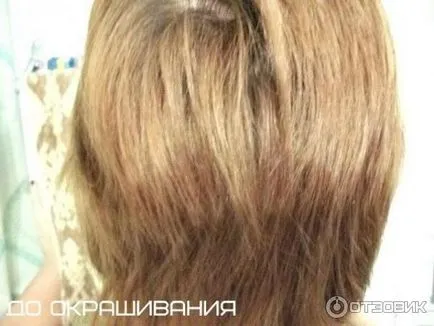 Colorant par L'Oreal ekselans paleta de culori, fotografii și recenzii, recenzii video, (ekselans) Colorant par L'Oreal ekselans paleta de culori, fotografii și recenzii, comentarii video,