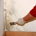 Cine este masochist care este masochismul și variantele sale, simplă neînțelegere (masochist) Cine este masochist care este masochismul și variantele sale, simplă neînțelegere
