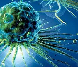Cine este Courier