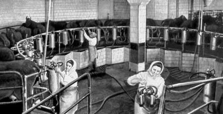 Enciclopedia pentru copii (prima ediție) (mare) - Bovine Enciclopedia pentru copii (prima ediție) - Bovine
