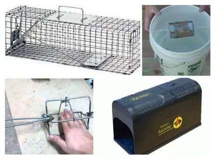 mâinile Rat-capcană - cum să facă o capcană (mâinile) mâinile Rat-capcană - cum să facă o capcană
