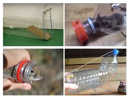 mâinile Rat-capcană - cum să facă o capcană (capcană) mâinile Rat-capcană - cum să facă o capcană