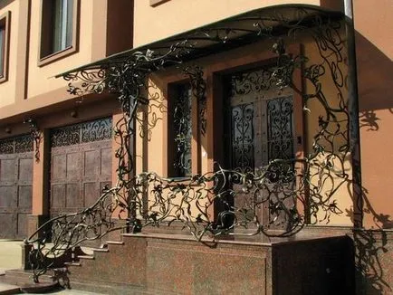 Tinda metalului într-o fotografie casă privată, modele, opțiuni