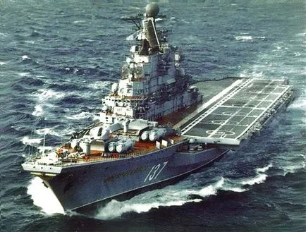 Cine a distrus încercarea sovietică Marinei de a răspunde (acțiunile luptei de eliberare națională) Cine a distrus încercarea marinei sovietice pentru a răspunde