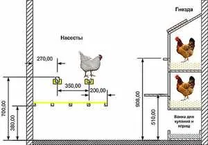 cotete pentru găini construcția și amenajarea casei, cu mâinile și stilou pentru puii de găină, fotografii